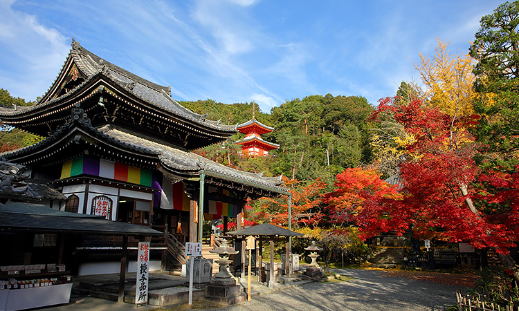 第十五番 今熊野観音寺 : 西国三十三所